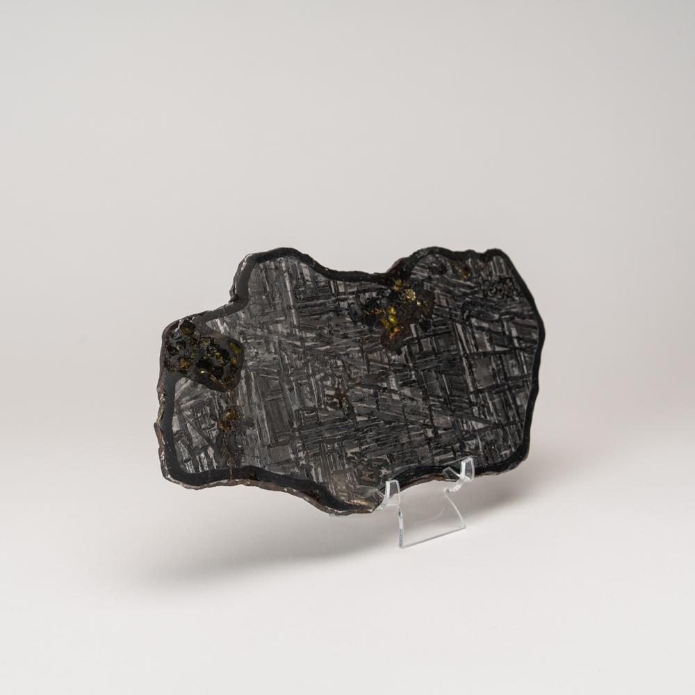 XVIIIe siècle et antérieur Authentique dalle de météorite Seymchan en pallasite de Russie en vente
