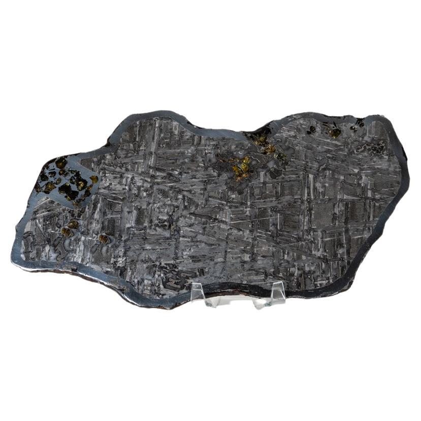 Authentic Seymchan Pallasite Meteorite Slab from Russia For Sale