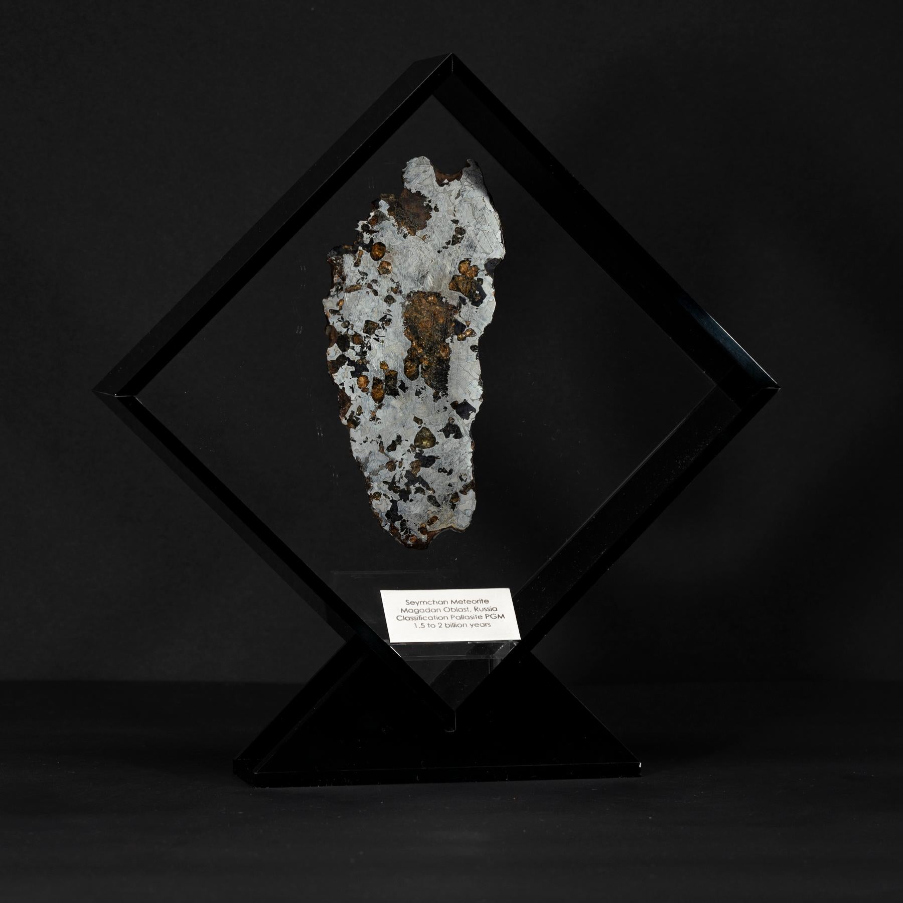 Organic Modern Seymchan with Olivine Meteorite from Russia in a Custom Acrylic Display