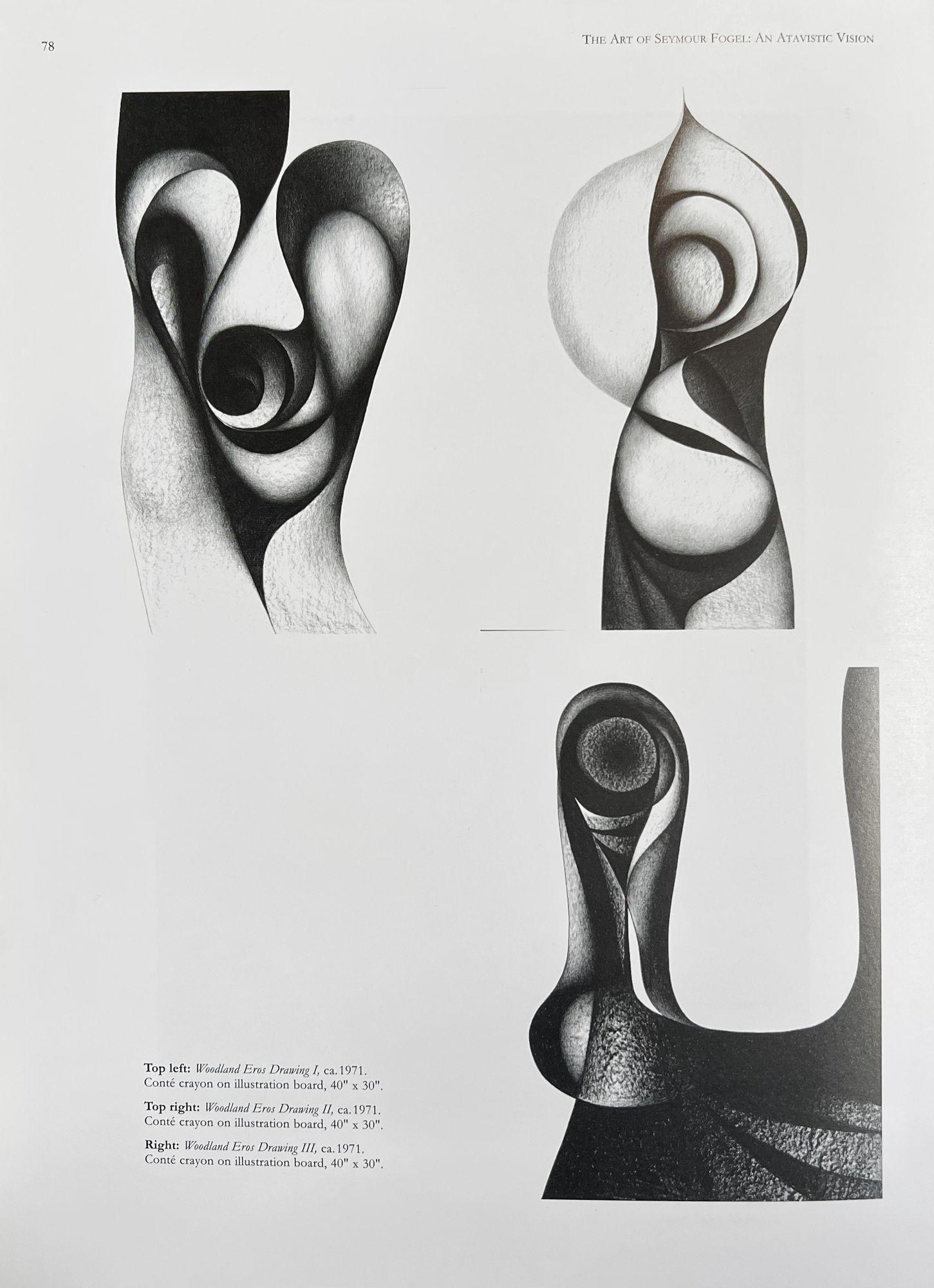 Abstrakte Zeichnungen von Seymour Fogel „Woodland Eros“, Texas Modernismus, 1971 im Angebot 1