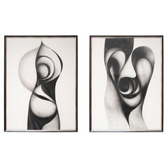 Seymour Fogel 'Woodland Eros' Abstract Drawings Texas Modernism 1971