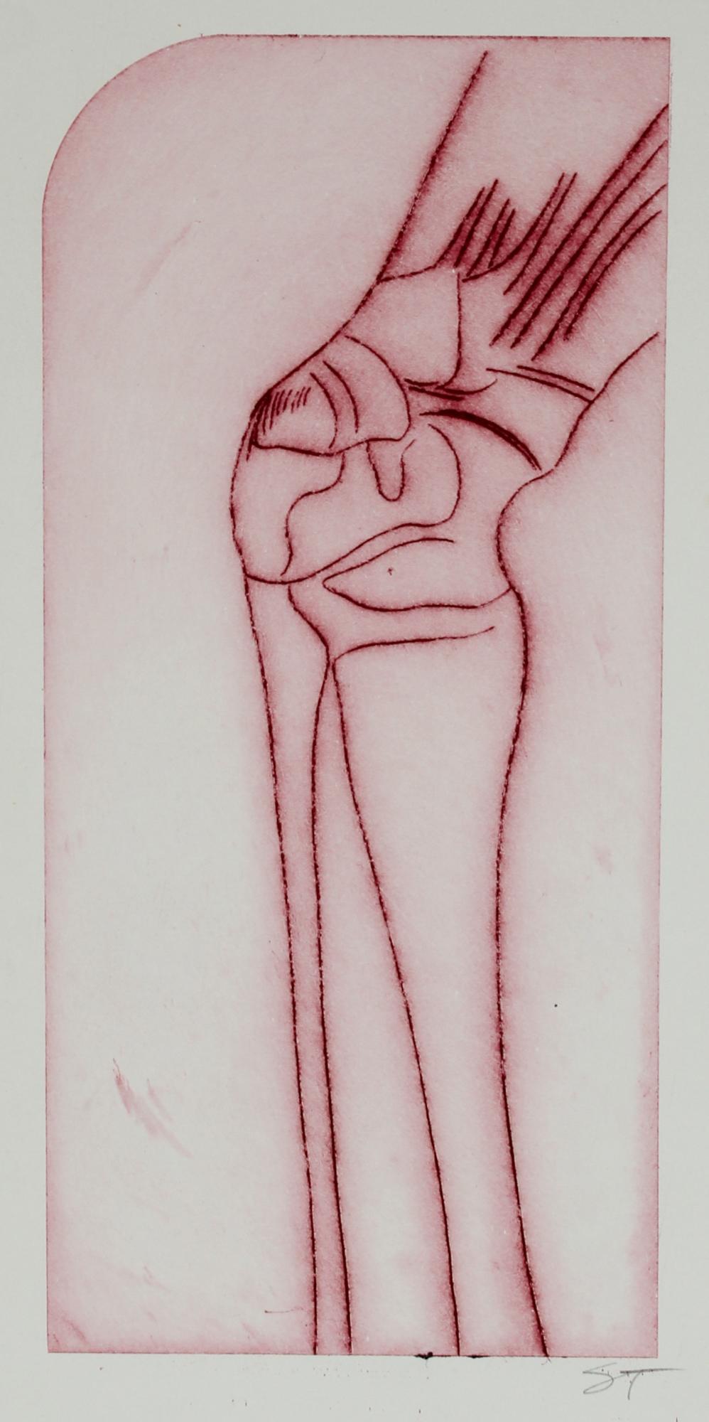 Seymour Tubis Abstract Print - Anatomical Study of the Knee 20th Century Etching