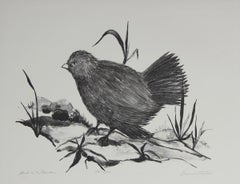 "Bird in a Garden" Black and White Lithograph on Paper