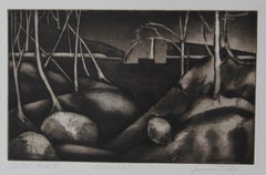 "Central Park II" Framed New York Landscape Etching, 1949