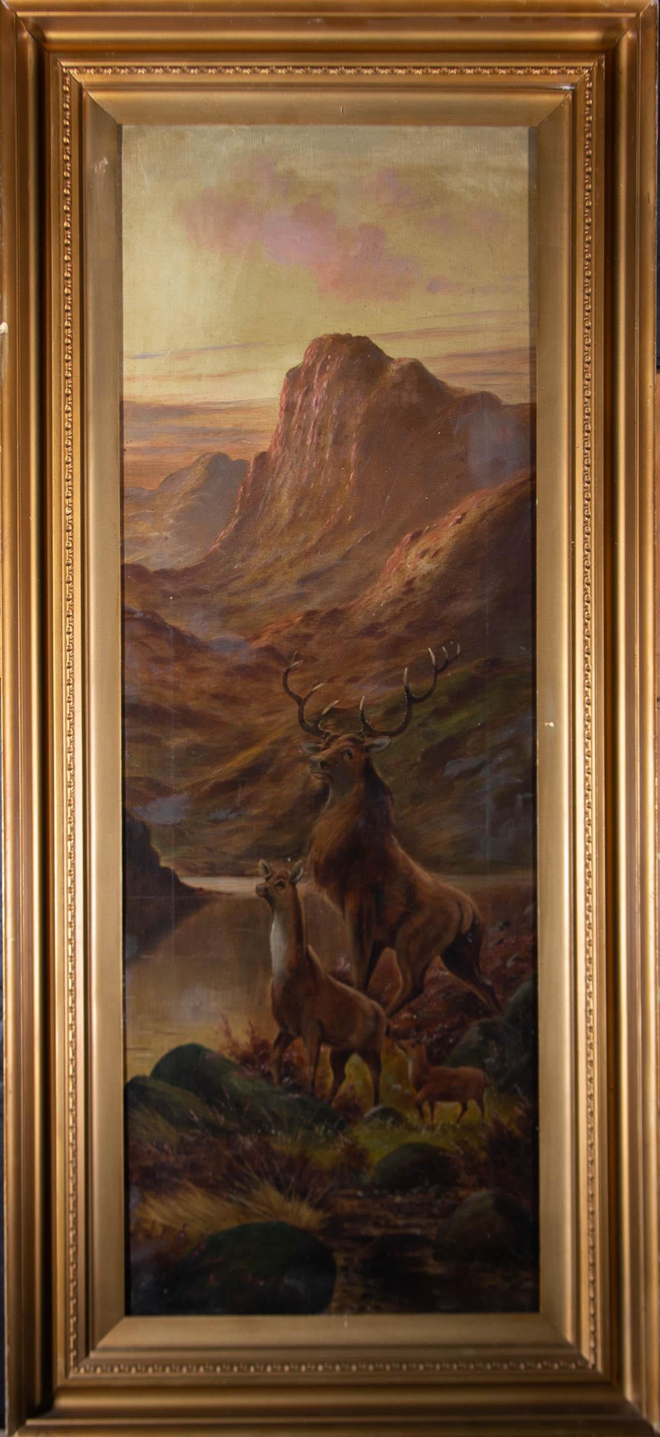 A striking highland landscape with the focus in the foreground on a majestic stag and his family of two red deer. The stag stands proudly behind his hind and young fawn. The dramatic mountainous landscape in the distance is tinted with sunset hues