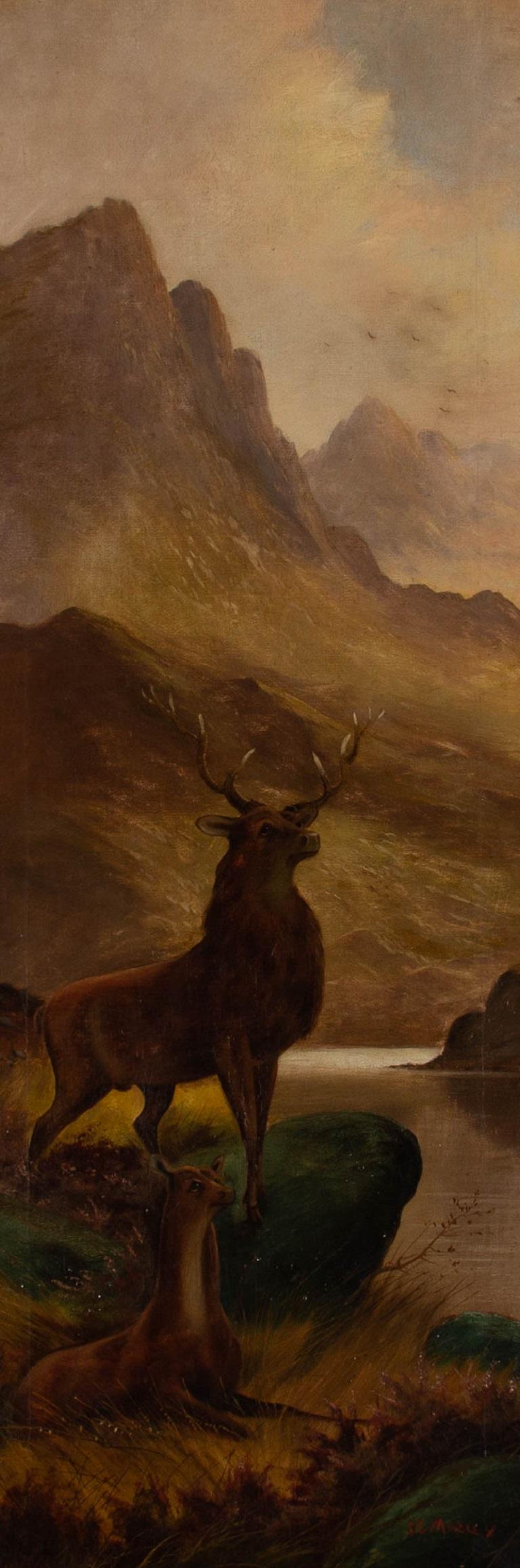 S.G. Morley - Early 20th Century Oil, Noble Highland Stag 1