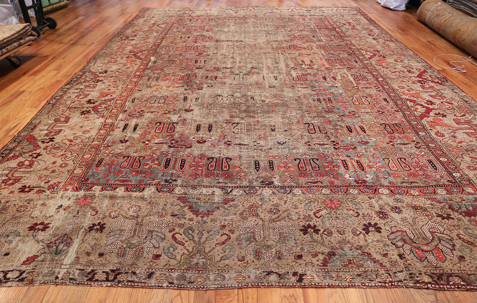 Wool 18th Century Antique Deccan Indian Rug. 11 ft x 15 ft 5 in  For Sale