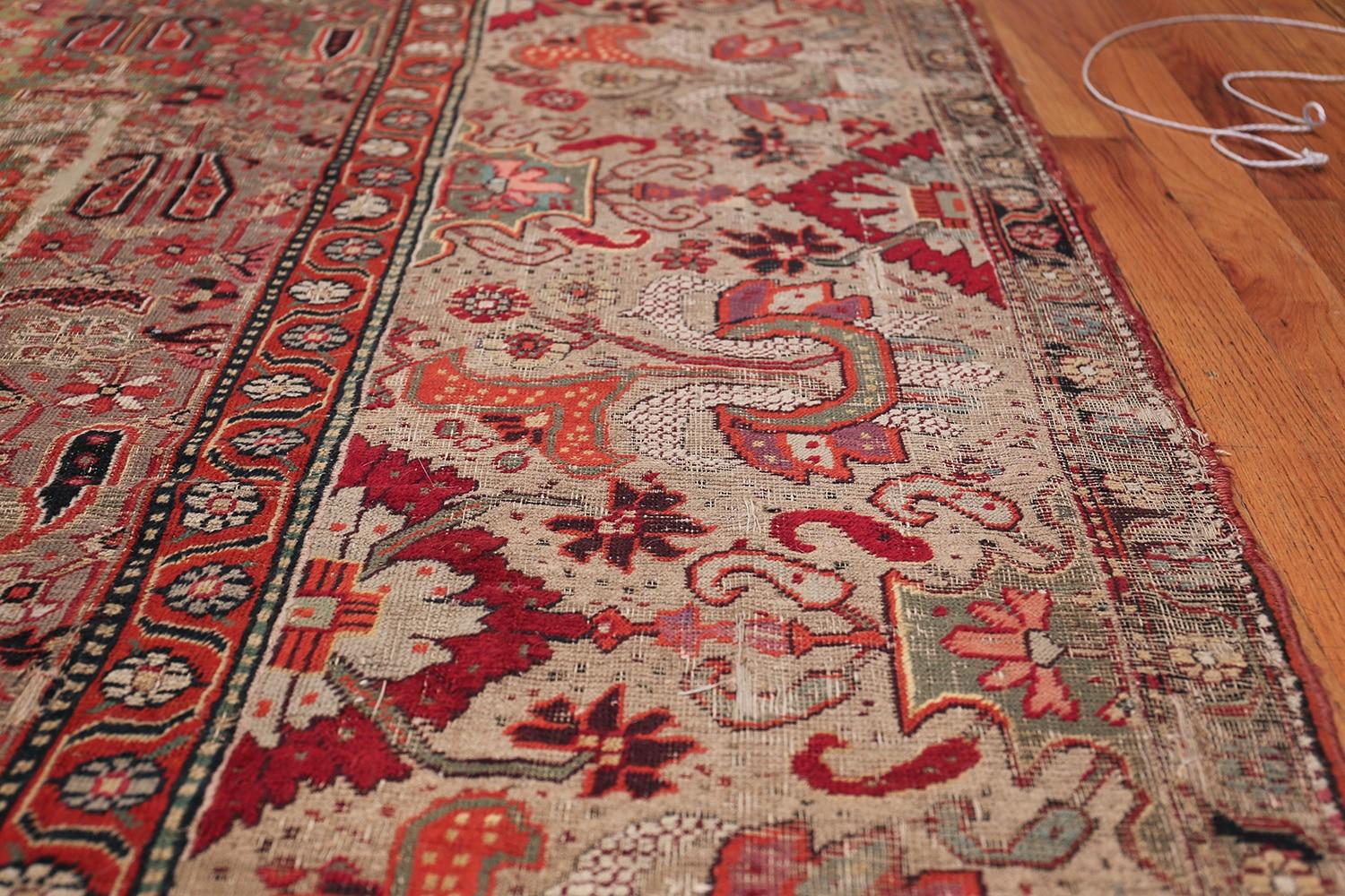 Antiker dekanischer indischer Teppich aus dem 18. Jahrhundert. 11 ft x 15 ft 5 in  (Wolle) im Angebot