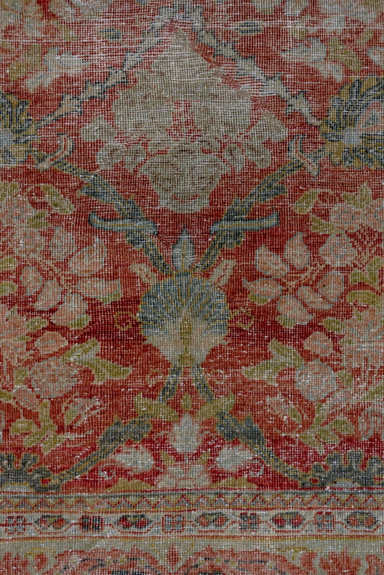 Shabby Chic Mahal Rug For Sale at 1stDibs