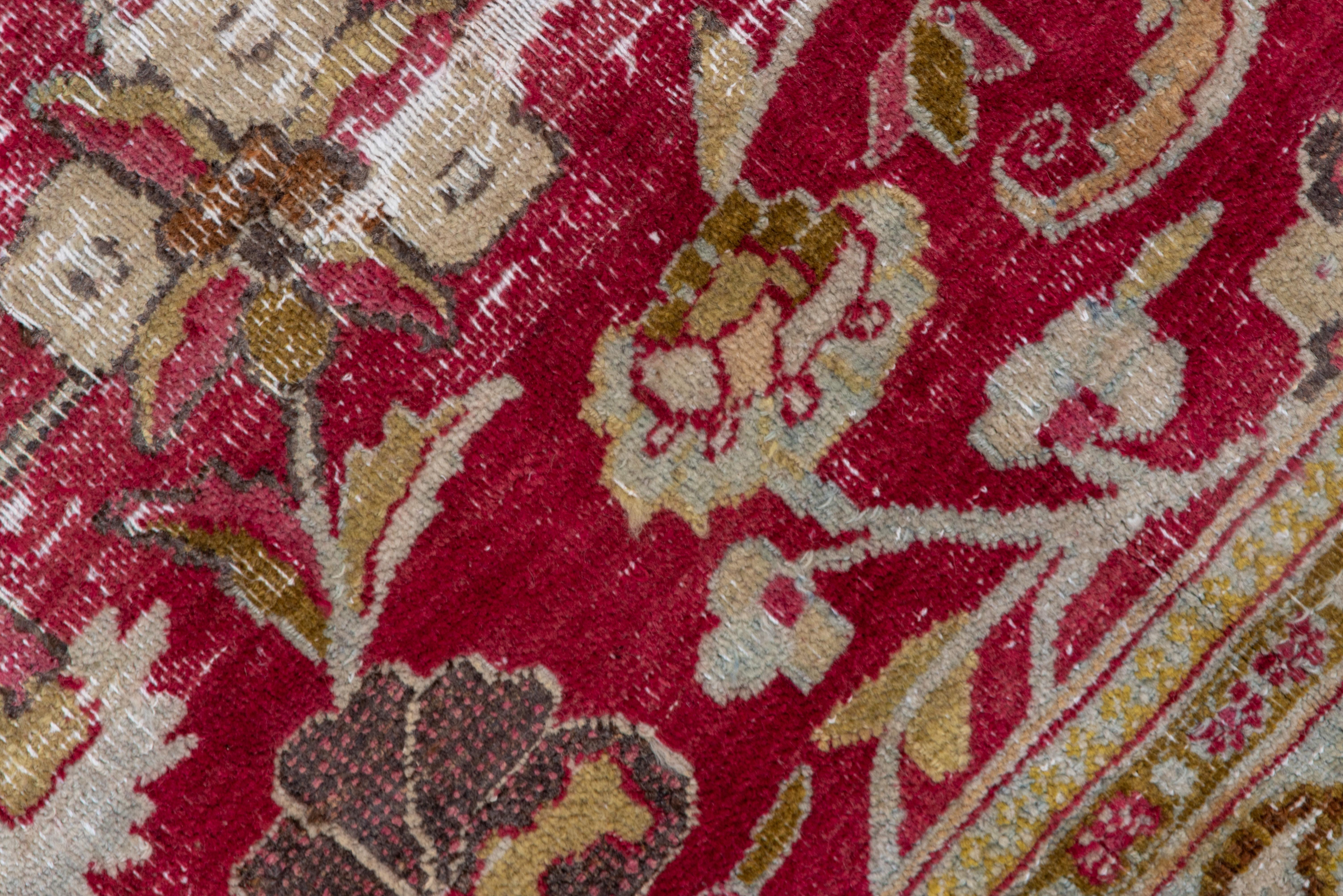 In shabby chic condition, this NE Persian urban scatter show an abrashed cochineal raspberry field with a leaf, lotus palmette and springy vine pattern, accented in yellow, ecru and green, Seafoam and olive border with swimming botehs. Medium weave