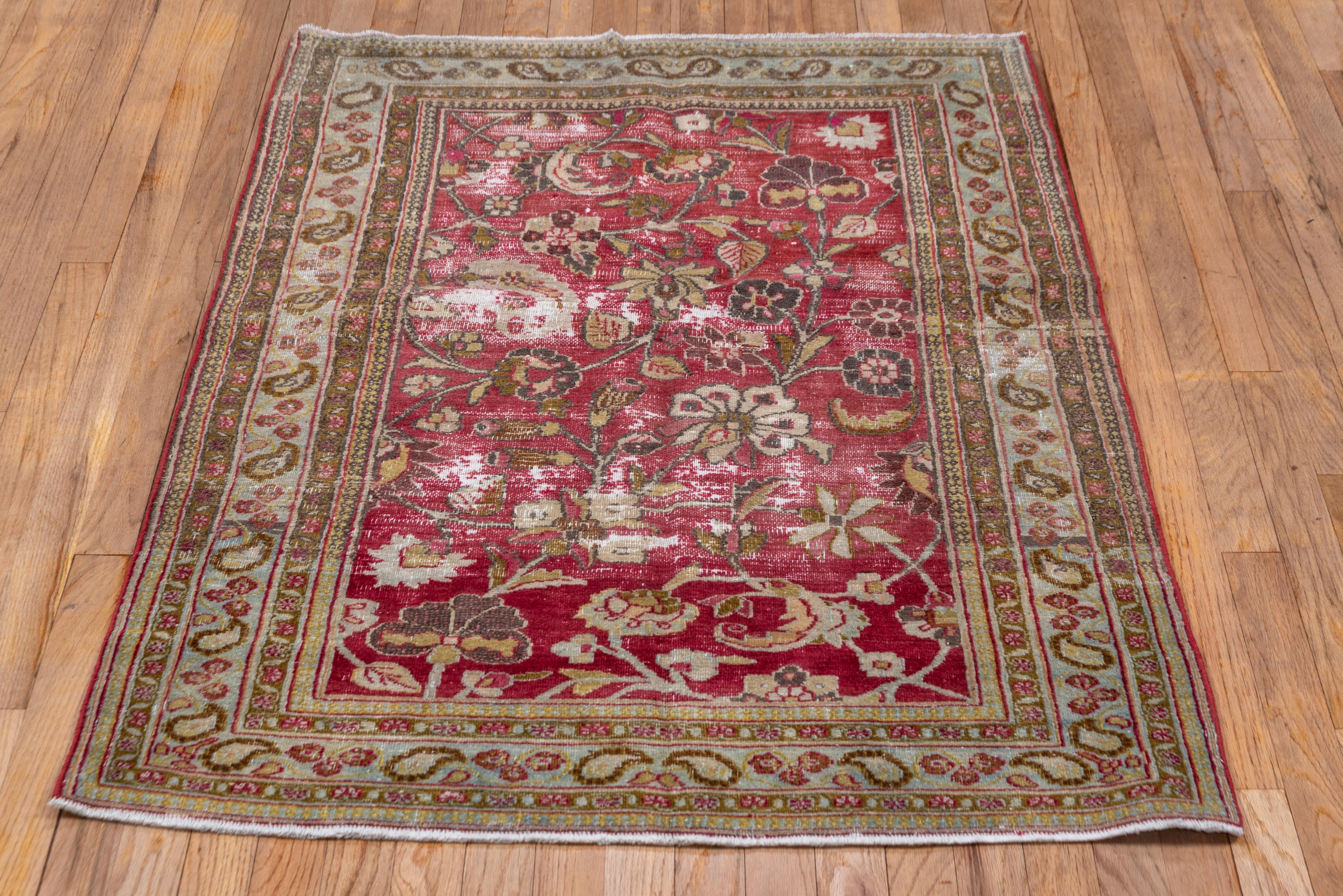 Début du 20ème siècle Tapis persan Shabby Chic du Khorassan, champ de framboise, bordures en écume de mer et olive