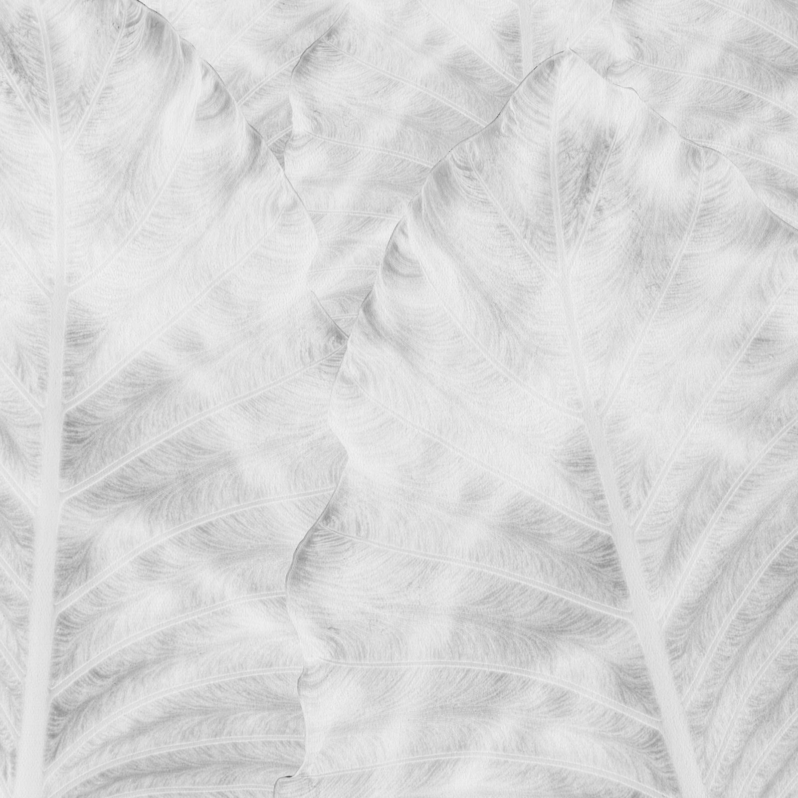 EDGE Collections Shadow Frond from our Tropical Modernism Collection In New Condition For Sale In Miami, FL