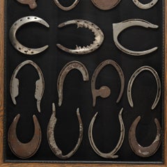 Shadowboxed Vintage Farriers Corrective Horseshoes