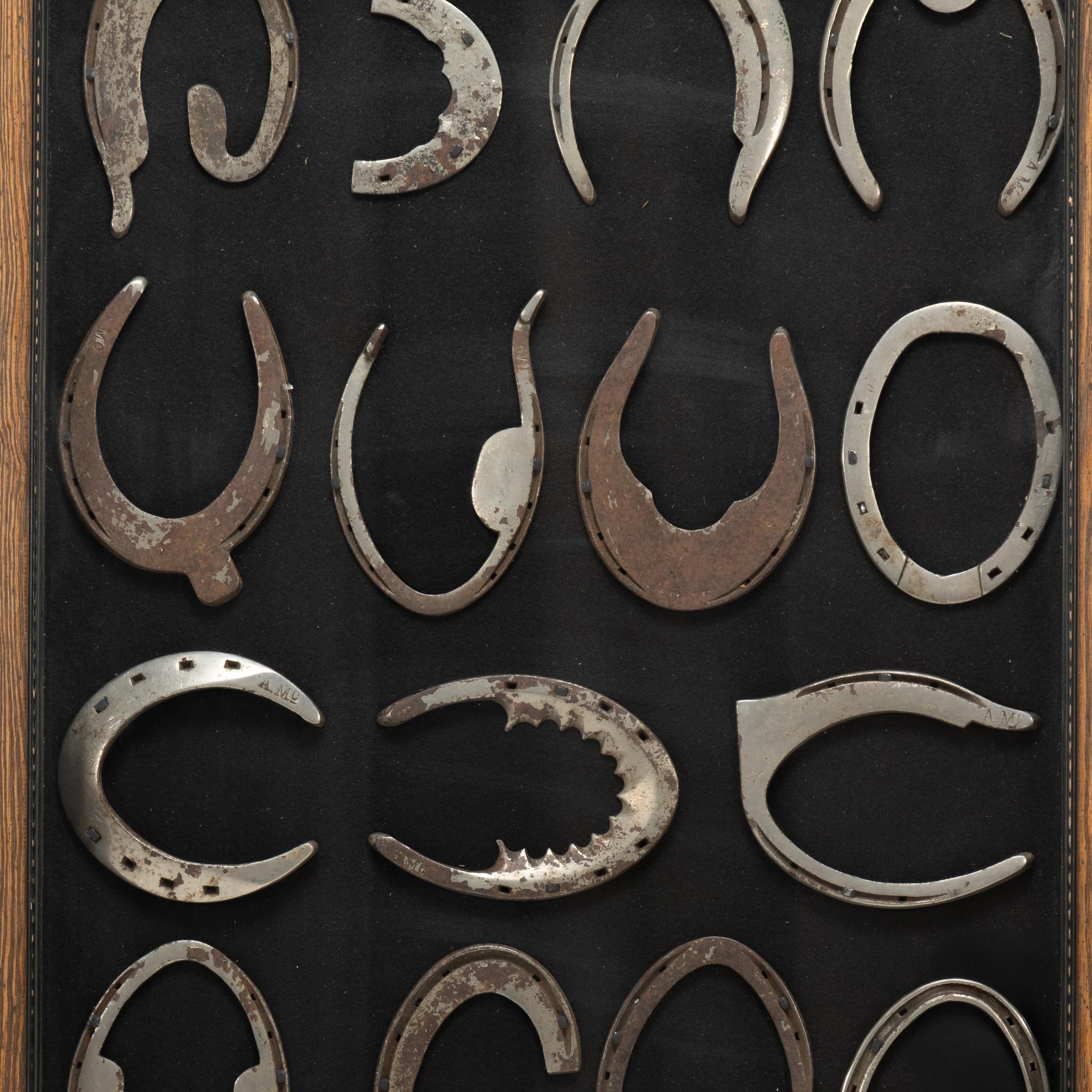 Americano Ferri da cavallo correttivi per maniscalchi d'epoca con scatola d'ombra in vendita