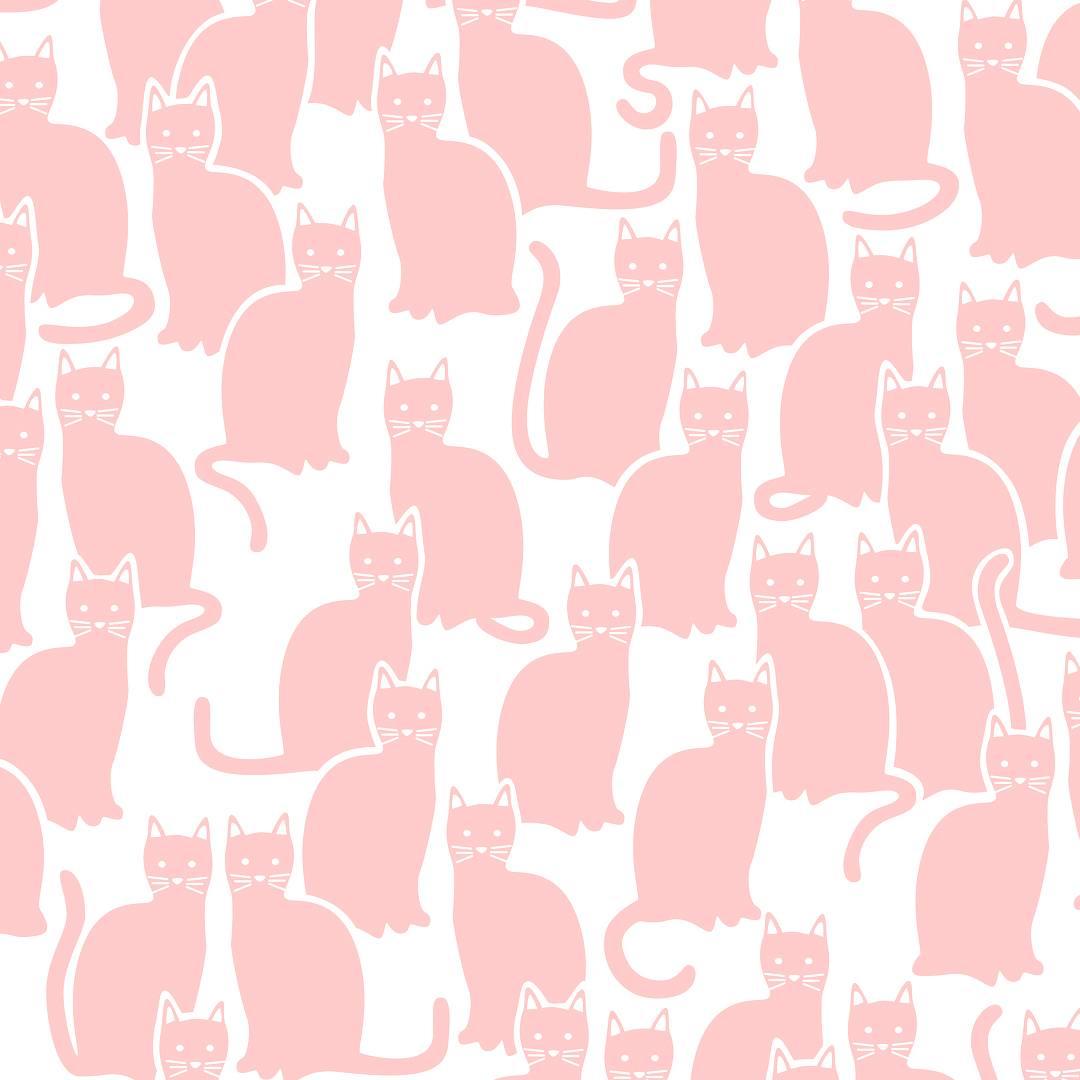 Shadowcat Designer Wallpaper in Peach 'Peachy Pink on Soft White' For Sale