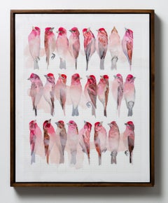 "Cassin's Finches", Framed Acrylic Painting of Pink Bird Studies