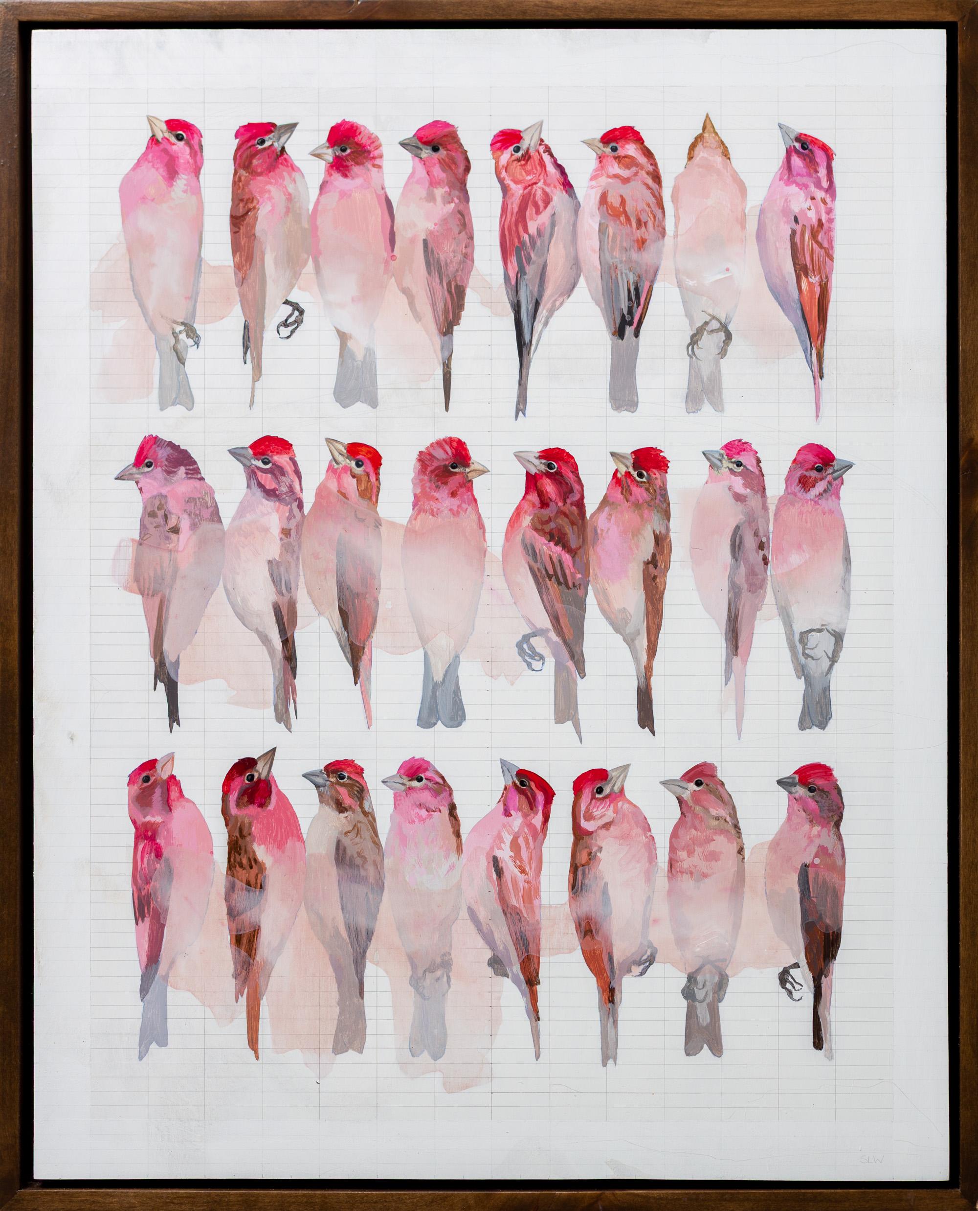 Animal Painting di Shae Warnick - "I fringuelli di Cassin", dipinto acrilico incorniciato con studi su uccelli rosa