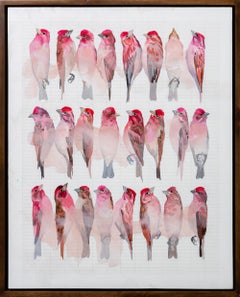 "Cassin's Finches", Framed Acrylic Painting of Pink Bird Studies