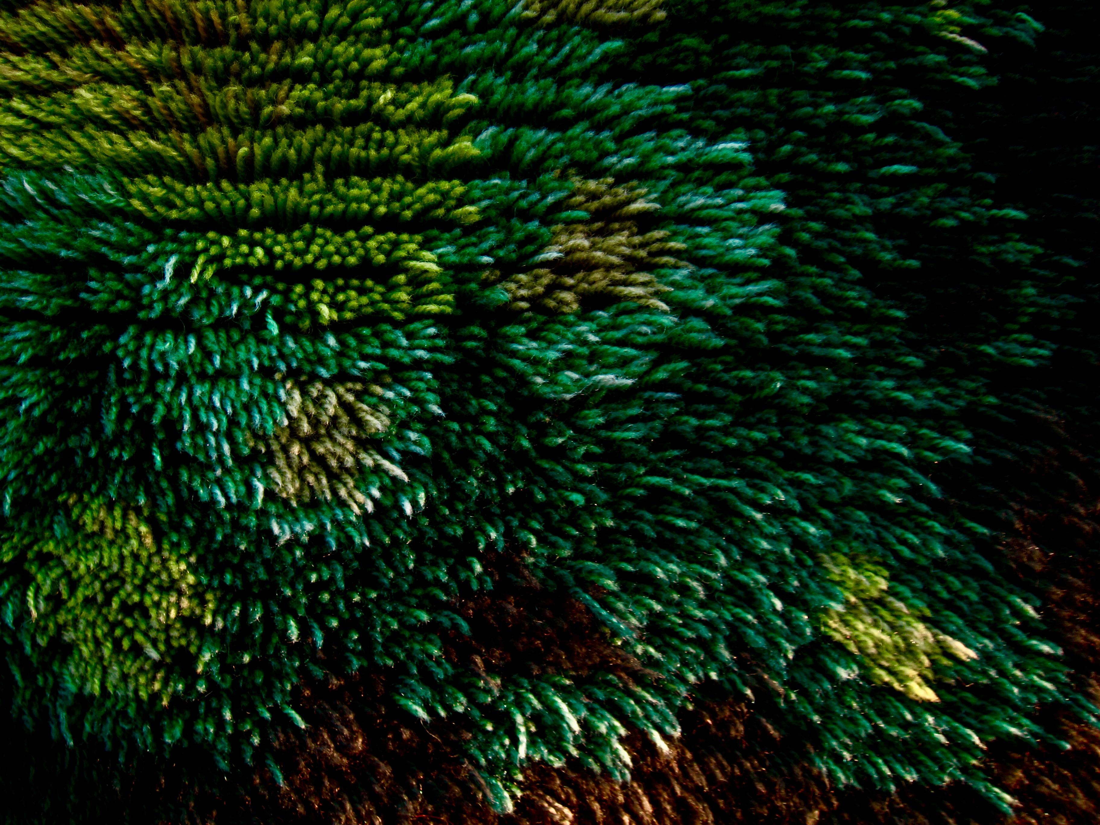Noué à la main Tapis ou tenture murale Rya Matta vert hirsute scandinave du milieu du siècle dernier