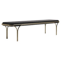 Banc en galuchat avec détails en laiton bronze-patina de R&Y Augousti