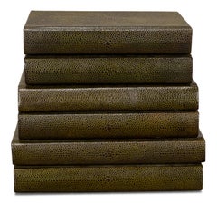 Lot de 12 livres en shagreen vert olive avec dos gaufrés