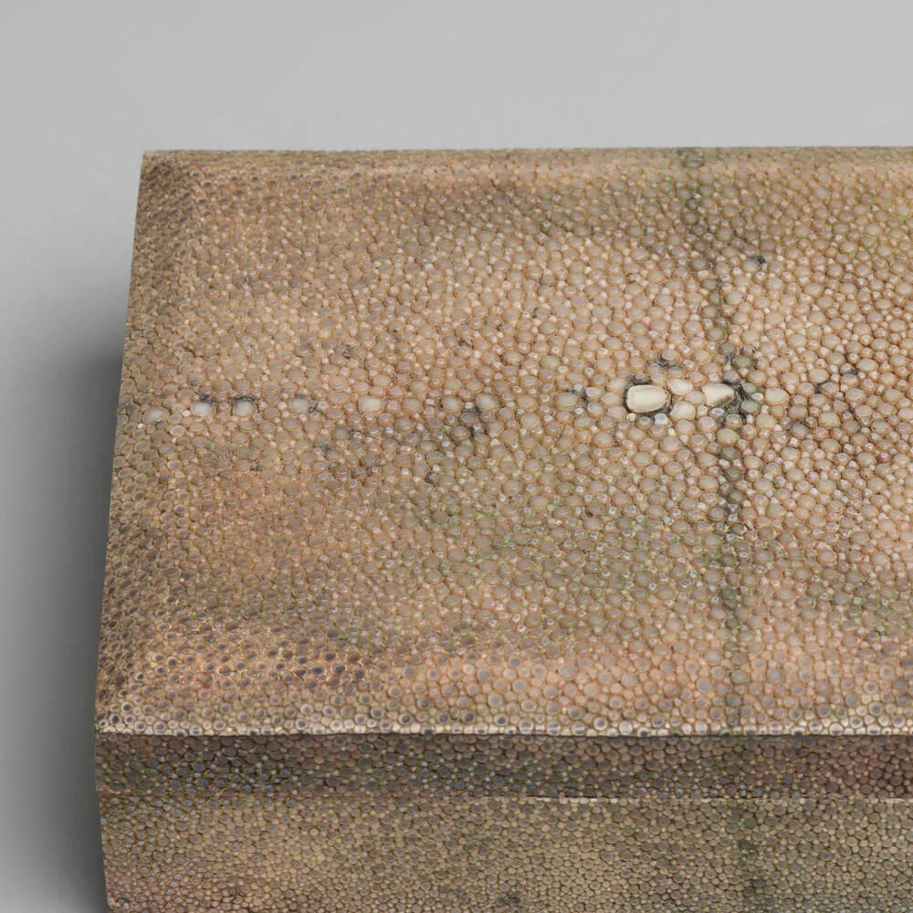 Boîte de Shagreen Bon état à Los Angeles, CA