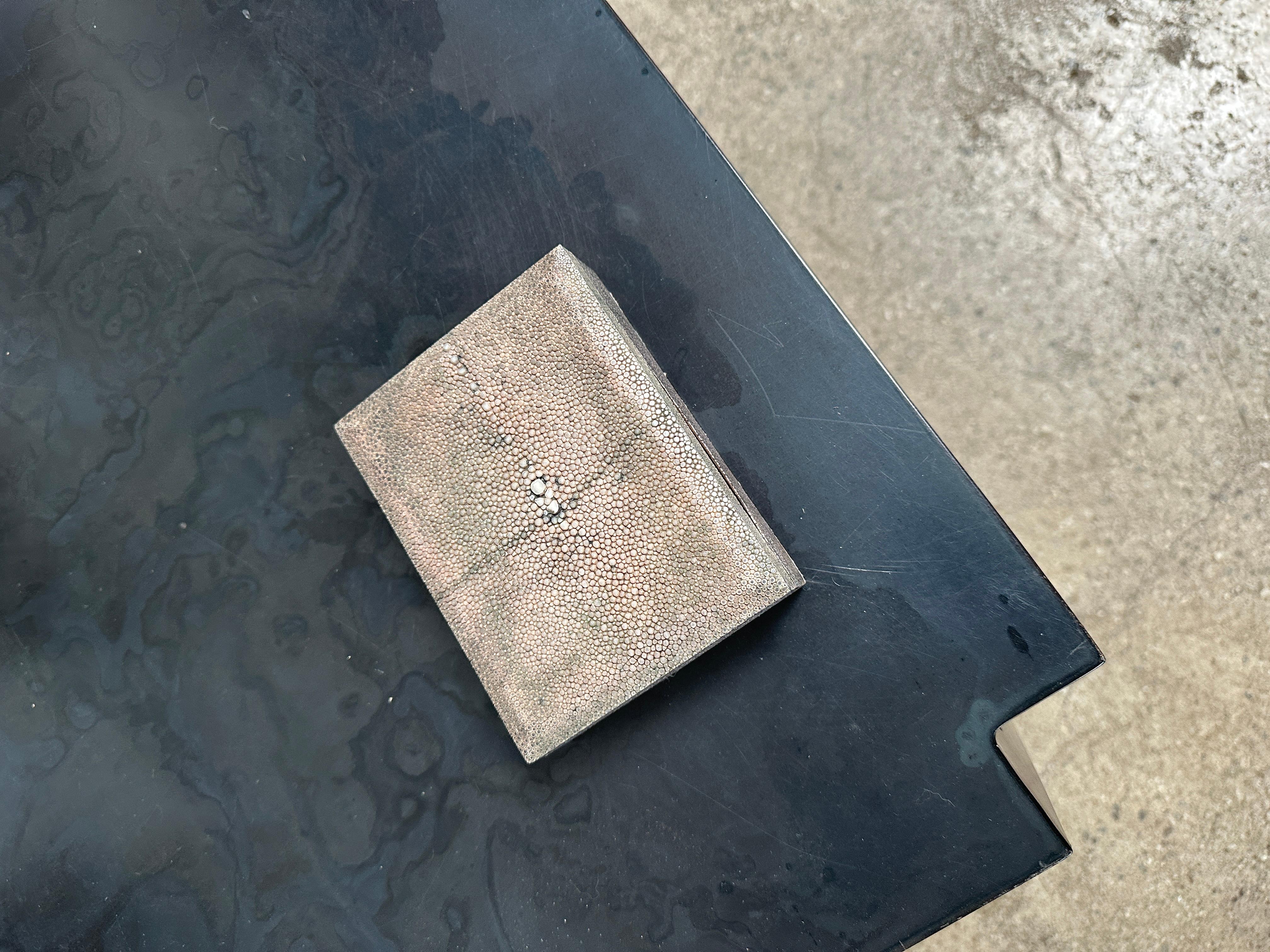 Début du 20ème siècle Boîte de Shagreen