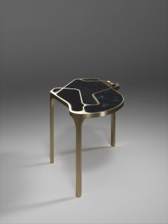Shagreen Cocteau Coffee Table with Bronze Patina Brass Accents by R & Y Augousti