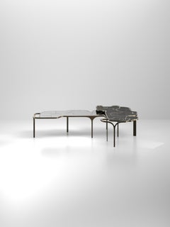 Shagreen Nesting Coffee Tables with Shell and Brass Accents by R&Y Augousti