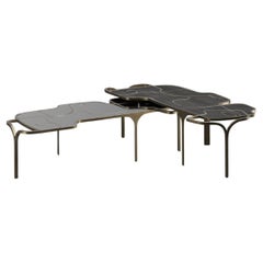 Shagreen Nesting Coffee Tables with Shell and Brass Accents by R&Y Augousti