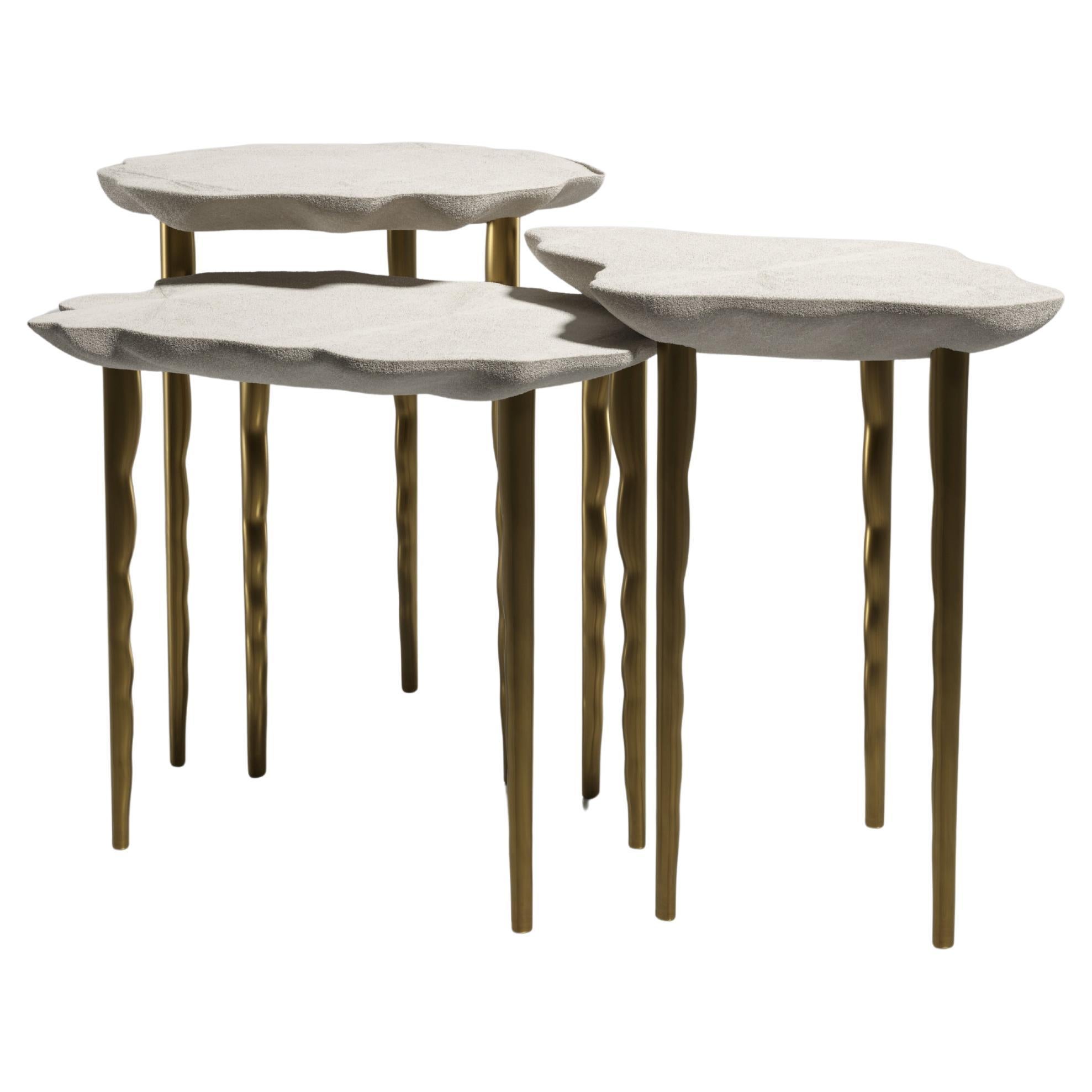 Beistelltische aus Chagrin mit Bronze-Patina-Messing-Details von R&Y Augousti