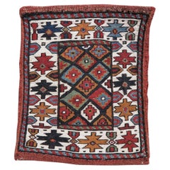 Antique Shahsevan Sumak Chanteh Rug, Late 19th century