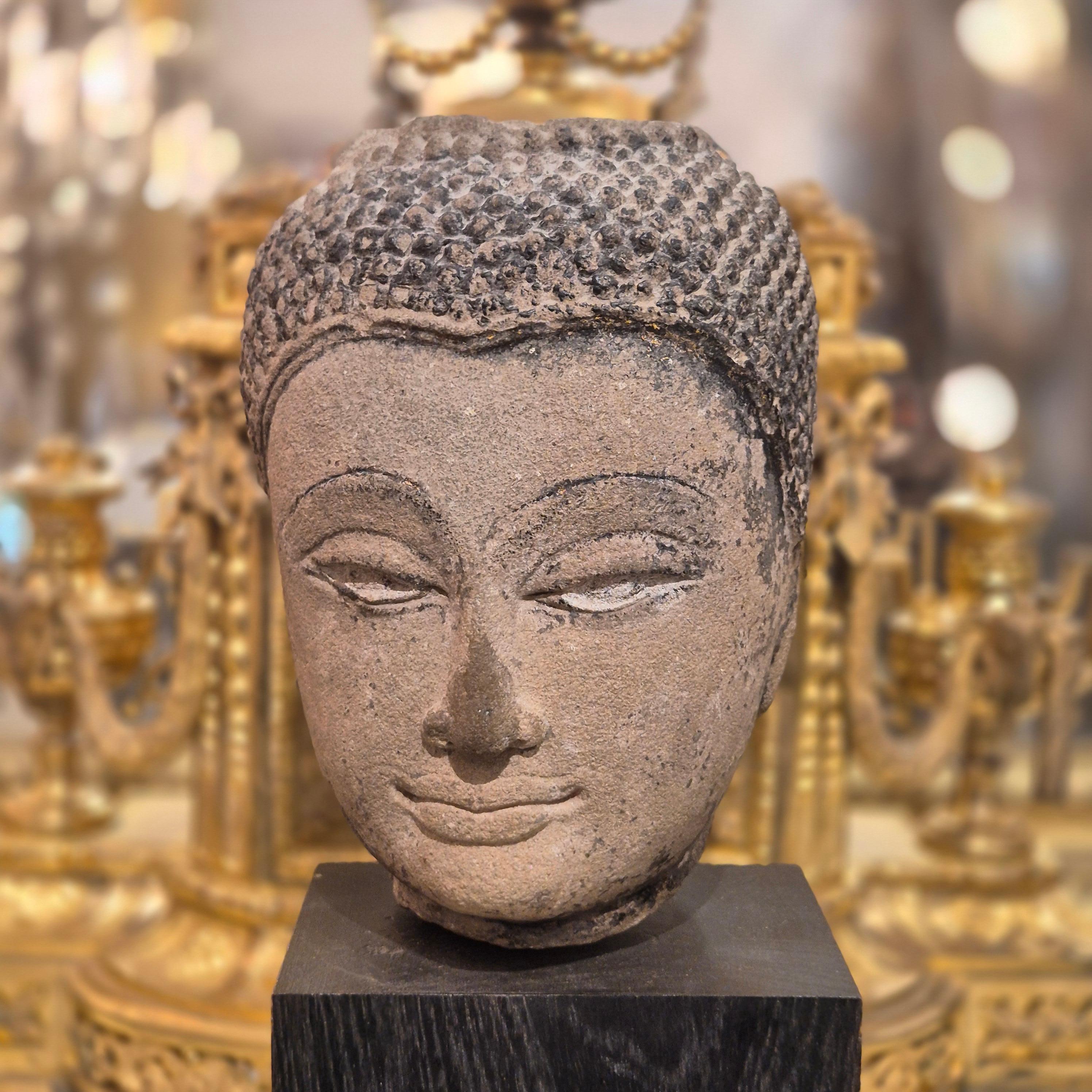 Shakyamuni Buddha head in sandstone, Thailand, Ayutthaya, 17th century For Sale 4