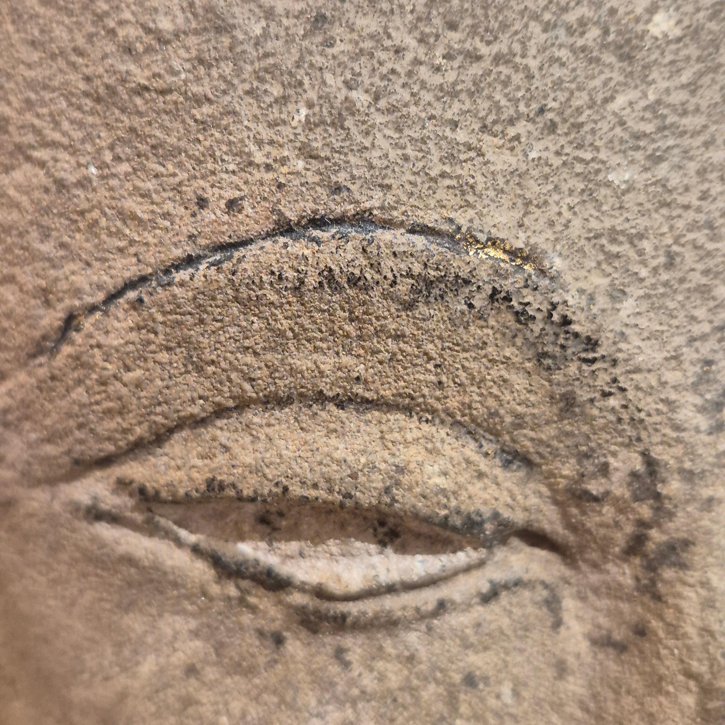 Shakyamuni Buddha head in sandstone, Thailand, Ayutthaya, 17th century For Sale 5