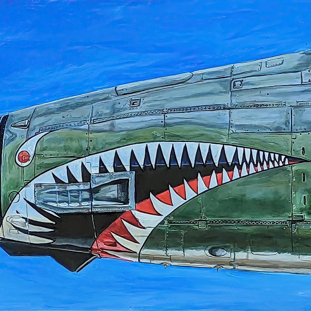„F105G Thunderbird“ (Original-Acrylgemälde) – Painting von Shan Fannin