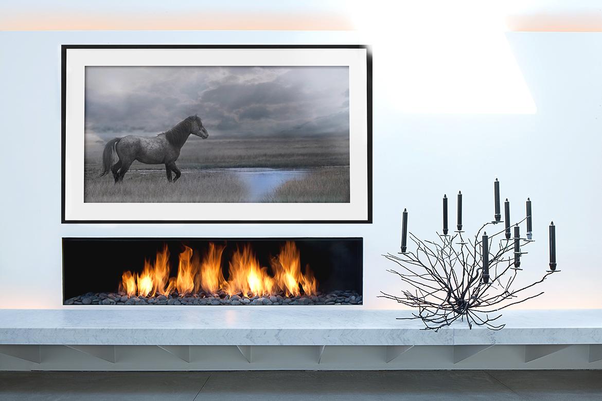 20x40 Fotografie, Fotografie von Wildpferd, Senf, Pferden, Kunst, Unsigniert im Angebot 2