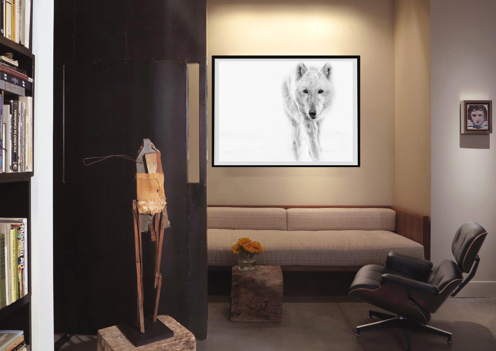 Photographie d'exposition 24x36 Arctic Wolf, Photographie d'art Wolves - Modernisme américain Print par Shane Russeck