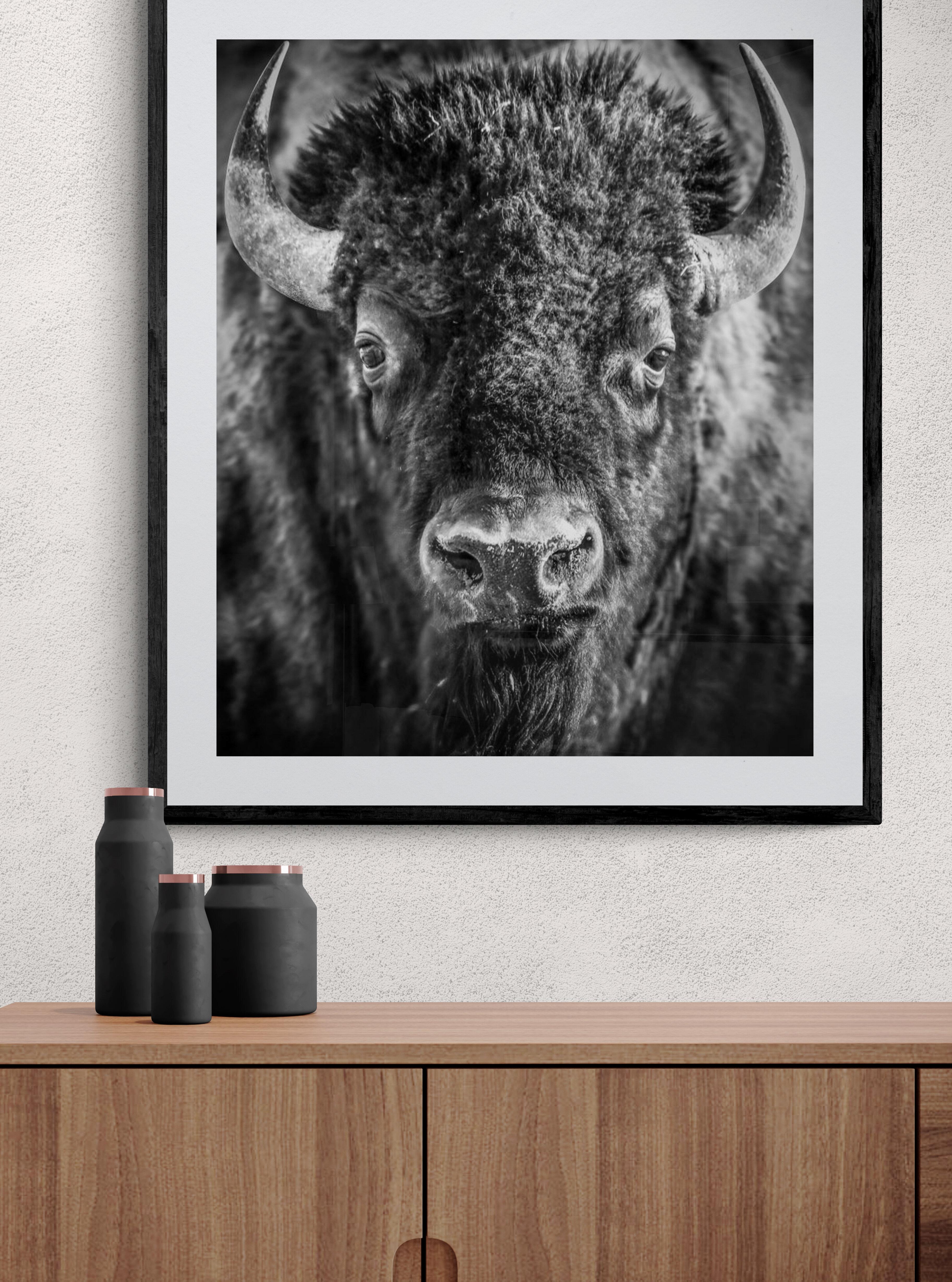 24x36  Amerikanische Buffalo-Fotografie-Kunst  Ausstellungsdruck Schwarz und Weiß – Print von Shane Russeck