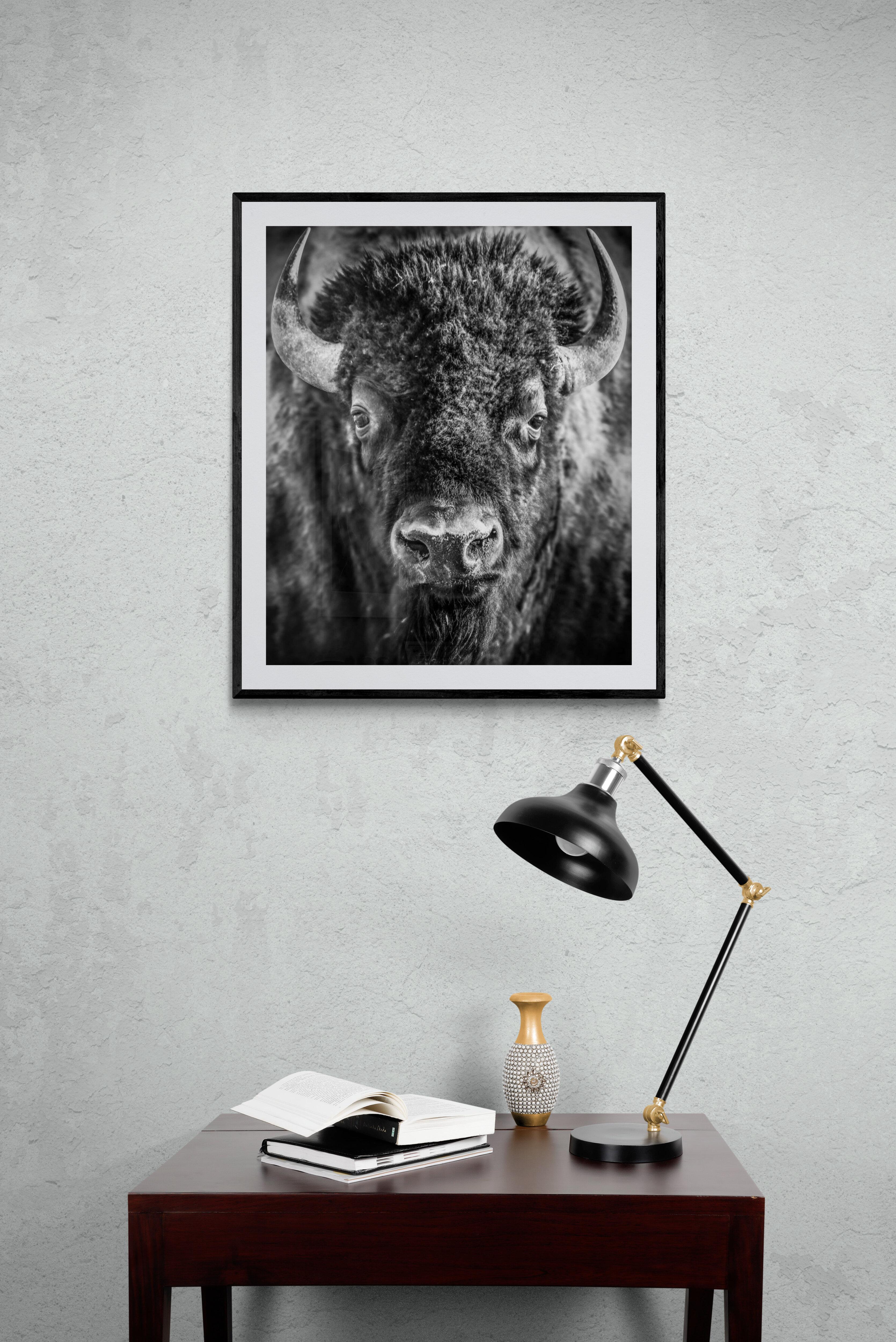 24x36  Bison Buffle américain Photographie Art  Impression d'exposition en noir et blanc - Modernisme américain Print par Shane Russeck