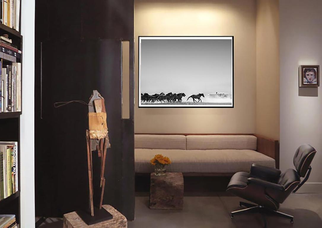 POWER AMÉRICAIN 36x48  Photographie Chevaux sauvages Mustangs FORD BRONCO - Gris Black and White Photograph par Shane Russeck