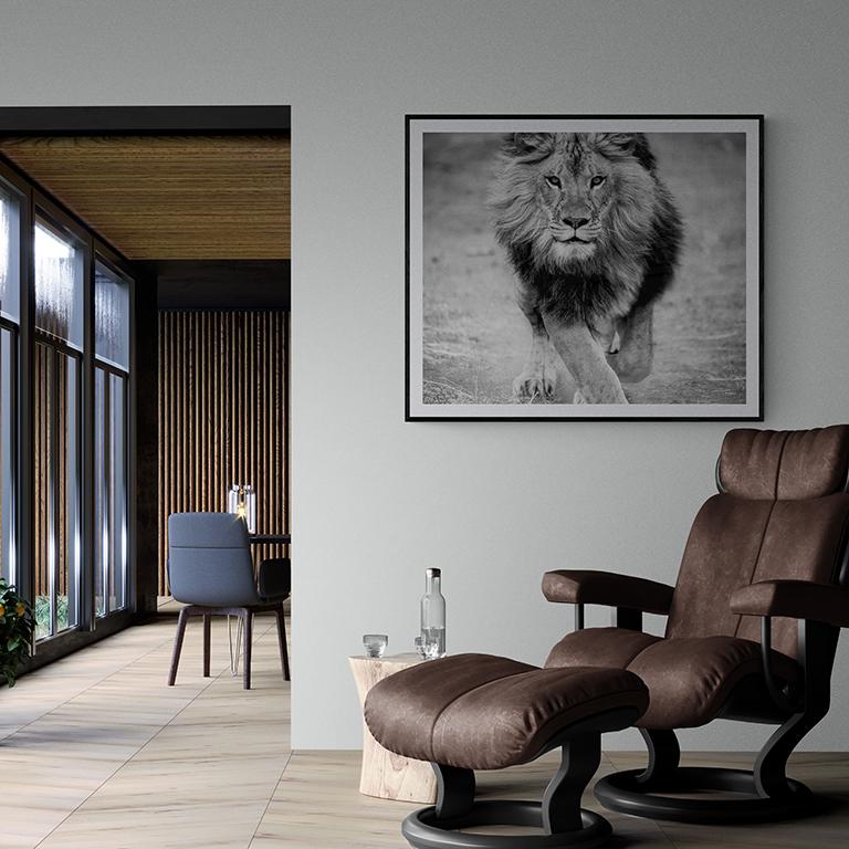 36x48 Schwarz-Weiß-Löwenfotografie, unsignierter Druck  