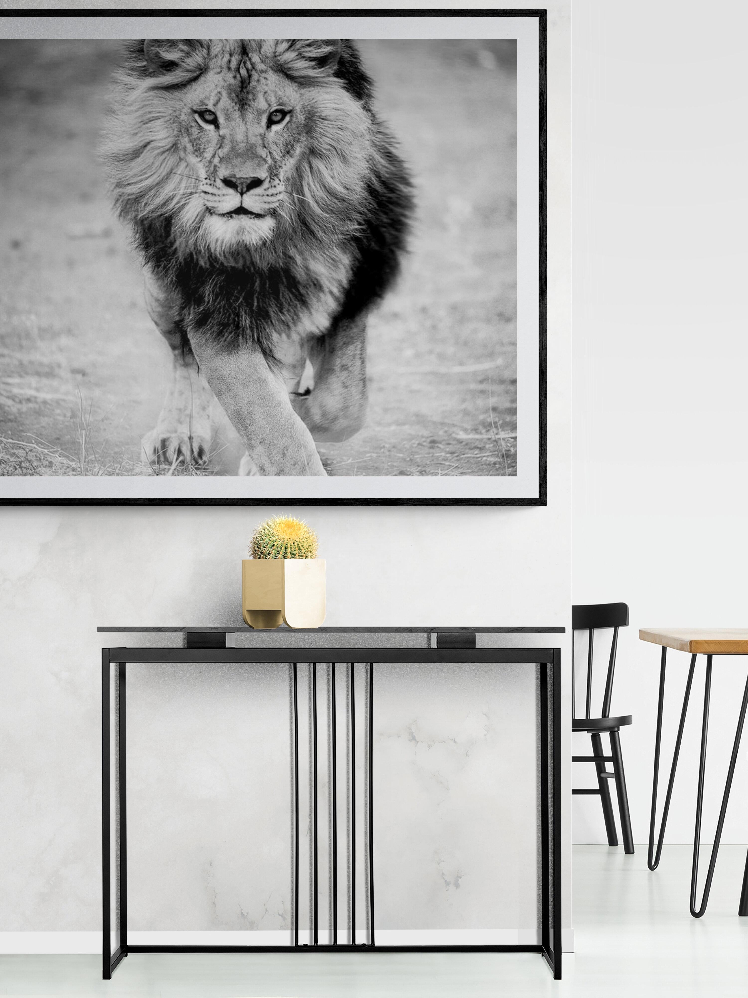 36x48 Schwarz-Weiß-Löwenfotografie, unsignierter Druck  