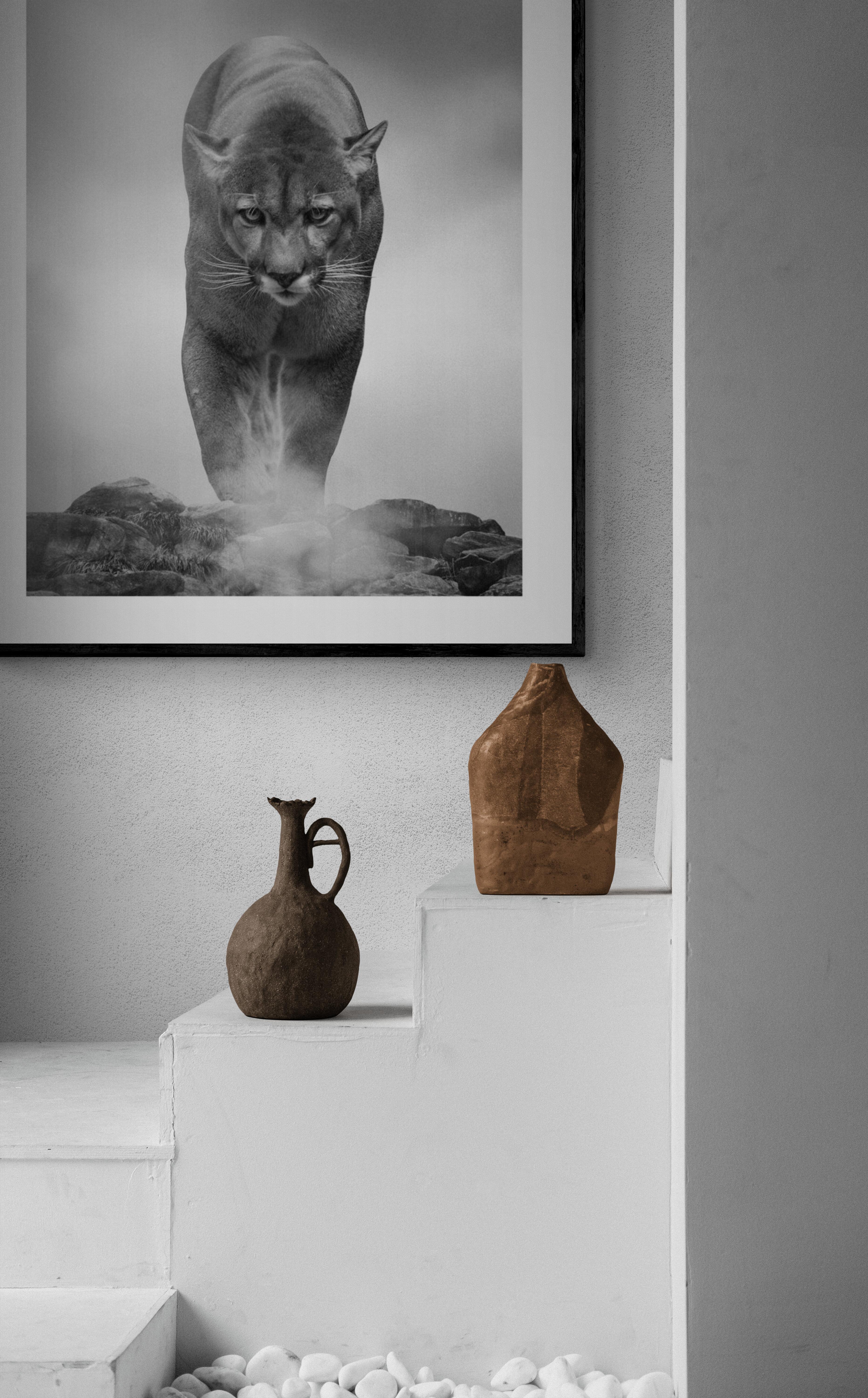 36x48 „King of the Mountain“, Schwarz-Weiß-Fotografie, Cougar, Berglöwe im Angebot 1