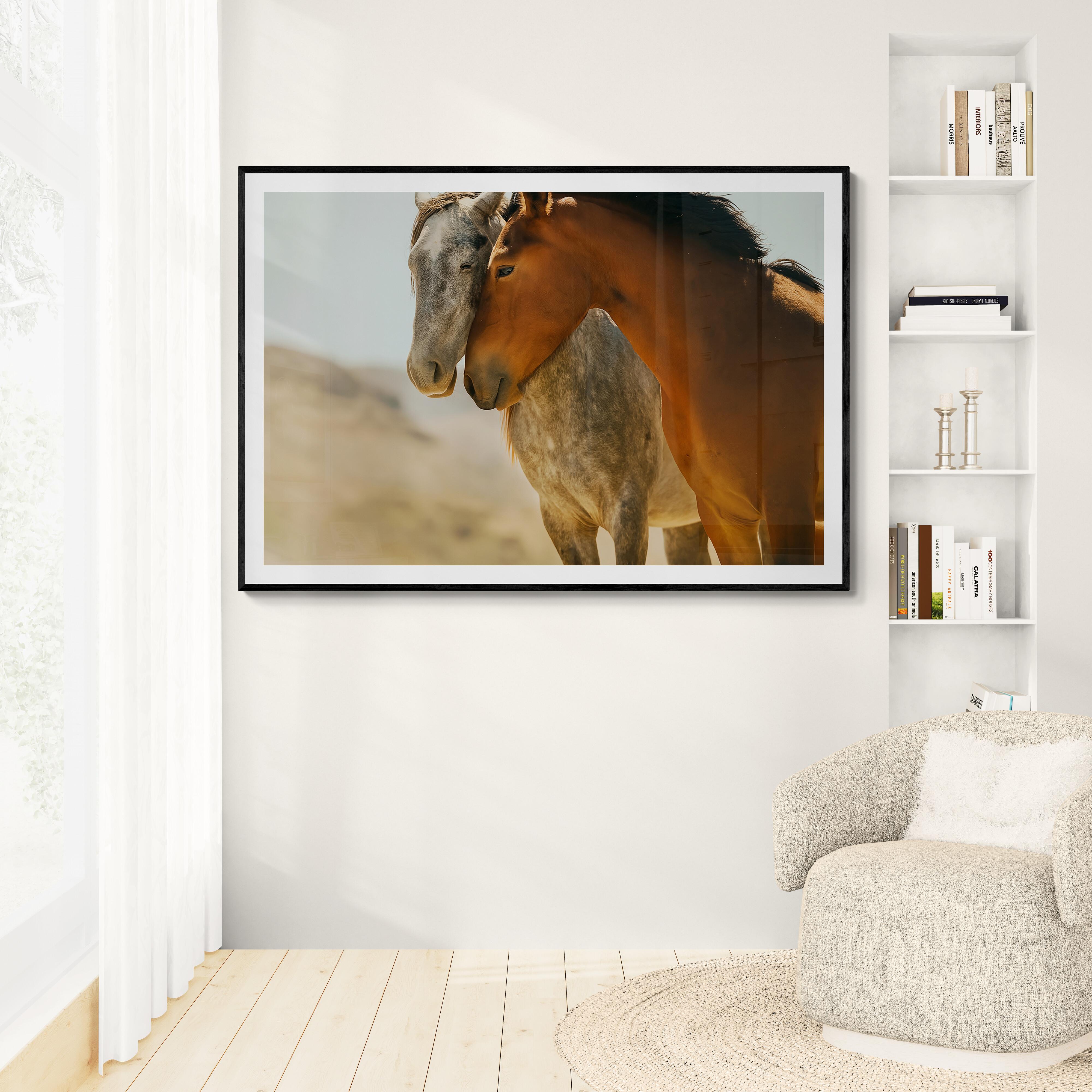 36x48 Photographie de chevaux sauvages Mustangs Photographie couleur non signée en vente 1