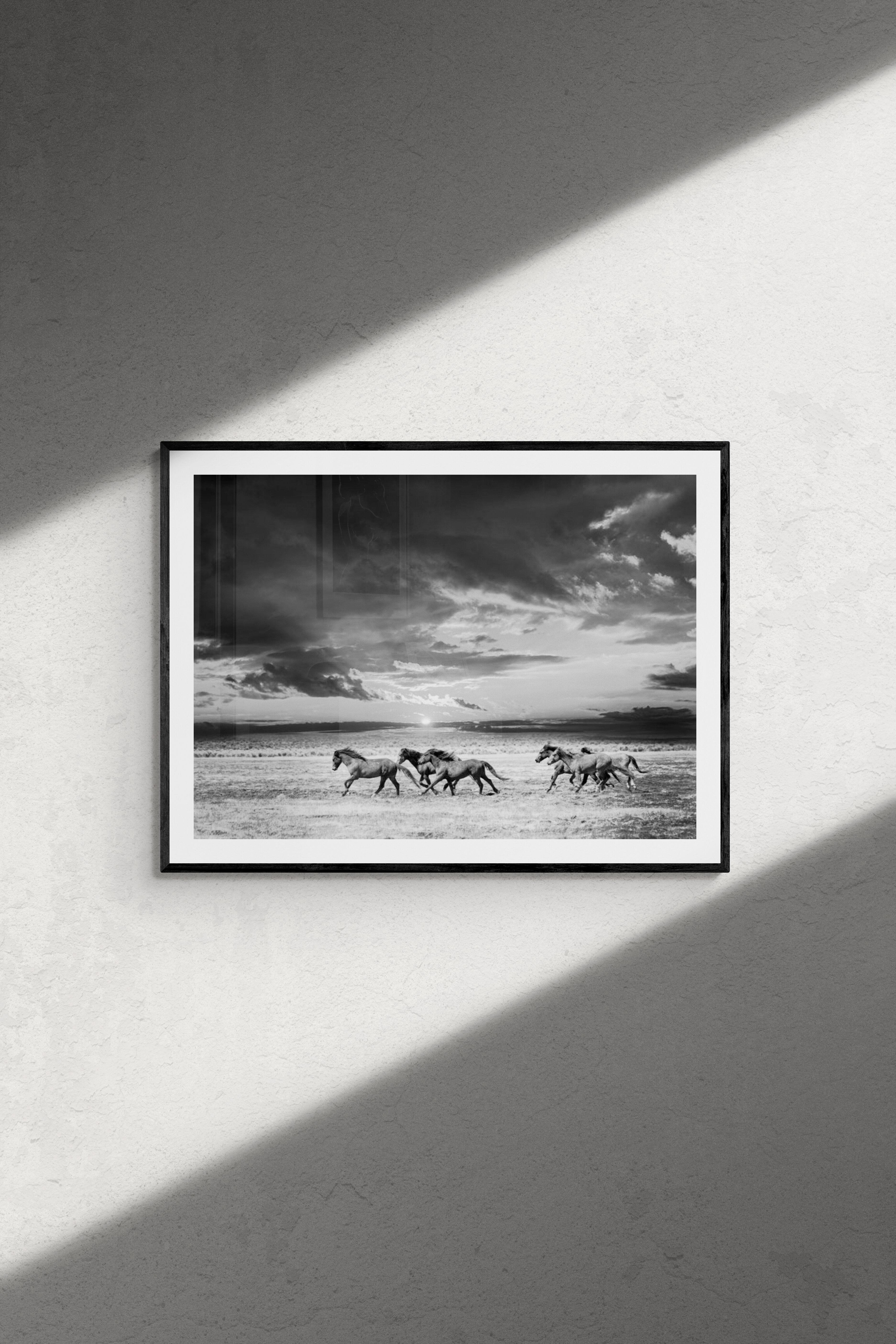 36x48 Photography of Wild Horses - Mustangs Photograph Print Sunset Landscape - Gray Black and White Photograph by Shane Russeck