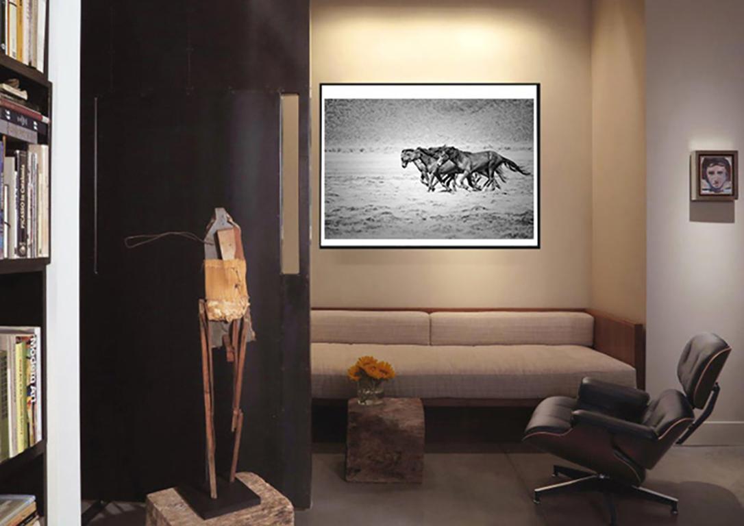  36x48  Running Mustangs  - Photographie, photographie et impression de chevaux sauvages  - Gris Black and White Photograph par Shane Russeck