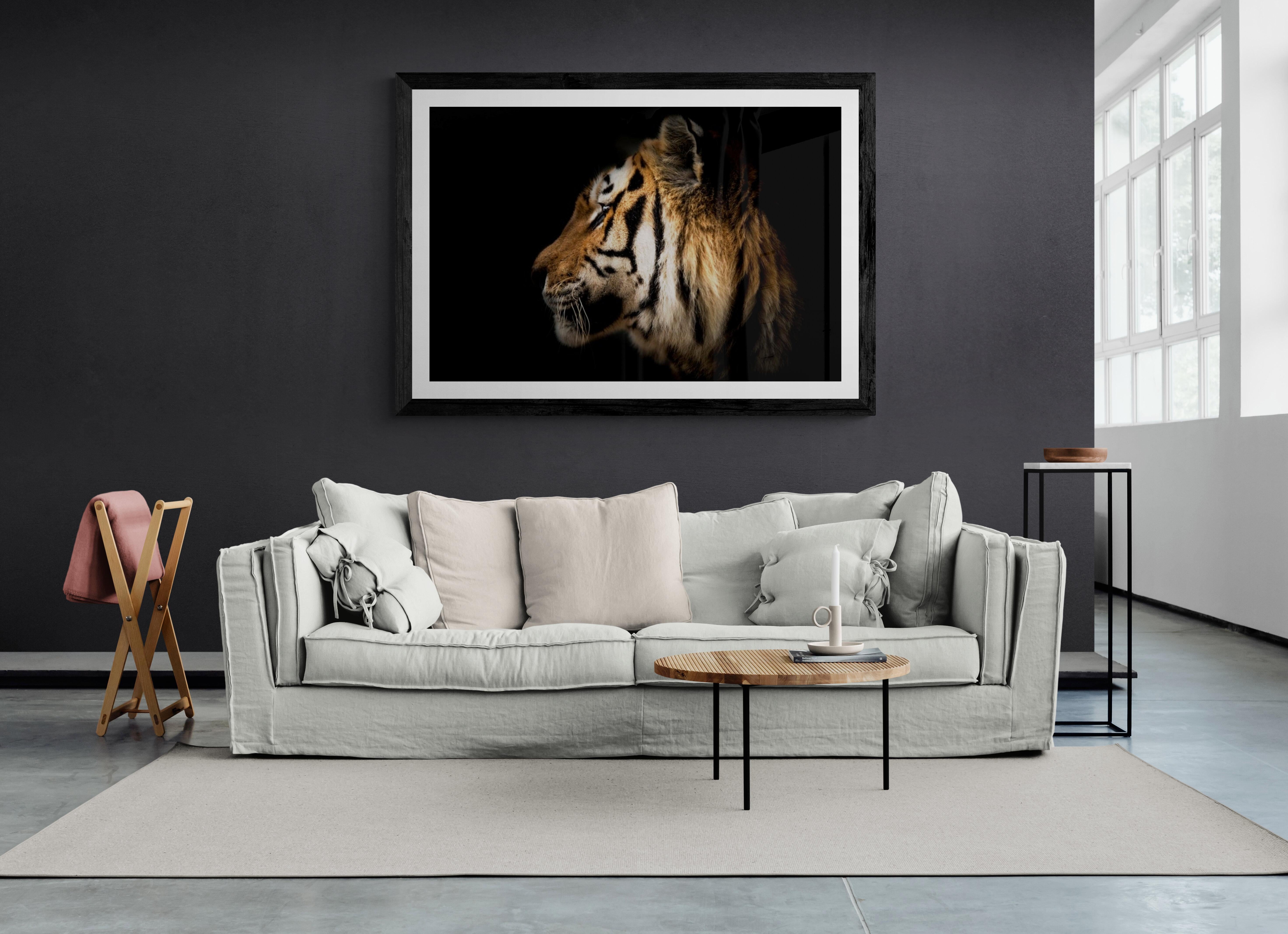 Questa è una fotografia contemporanea di una tigre di Shane Russeck. 
Stampato su carta d'archivio con inchiostri d'archivio


Shane Russeck è un moderno fotografo, avventuriero ed esploratore. Ha preso in mano la macchina fotografica per la prima