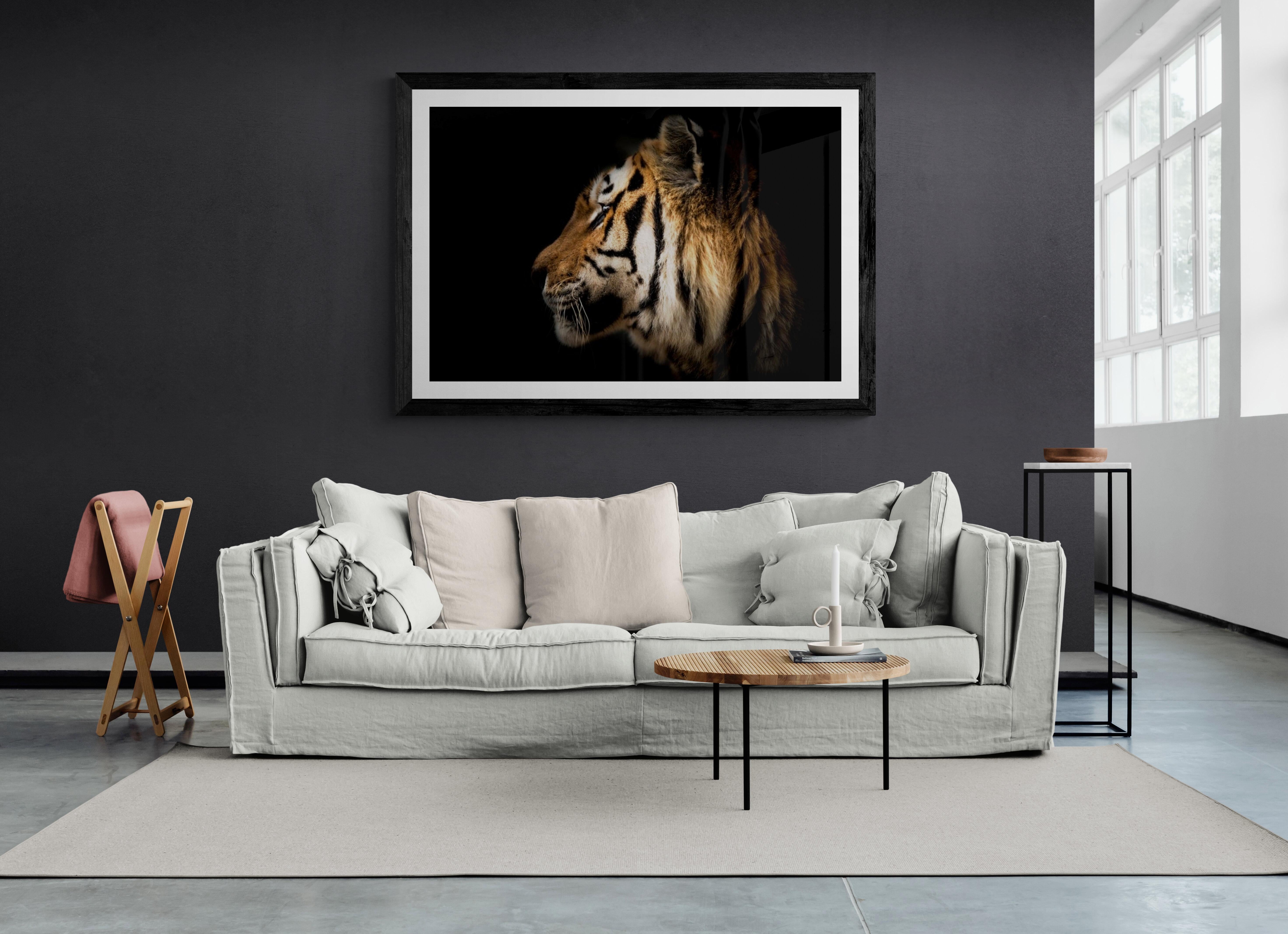 Photographie tigre 36x48 - Photographie d'art - Nature morte - Portrait de tigre - Beaux-arts en vente 2