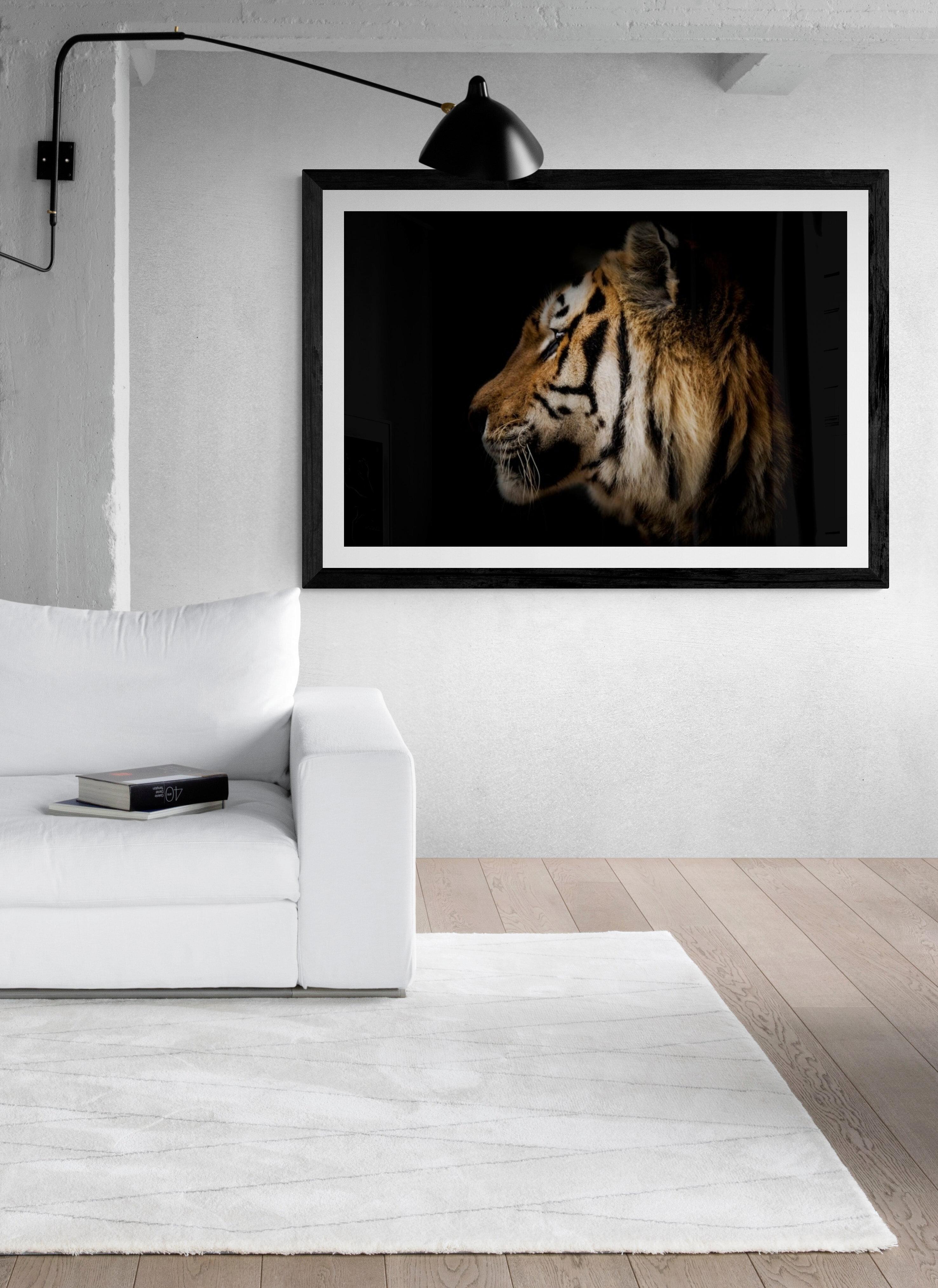 36x48 Tigerfotografie Wildlife-Kunstfotografie „Tiger-Porträt“ Fine Art im Angebot 2