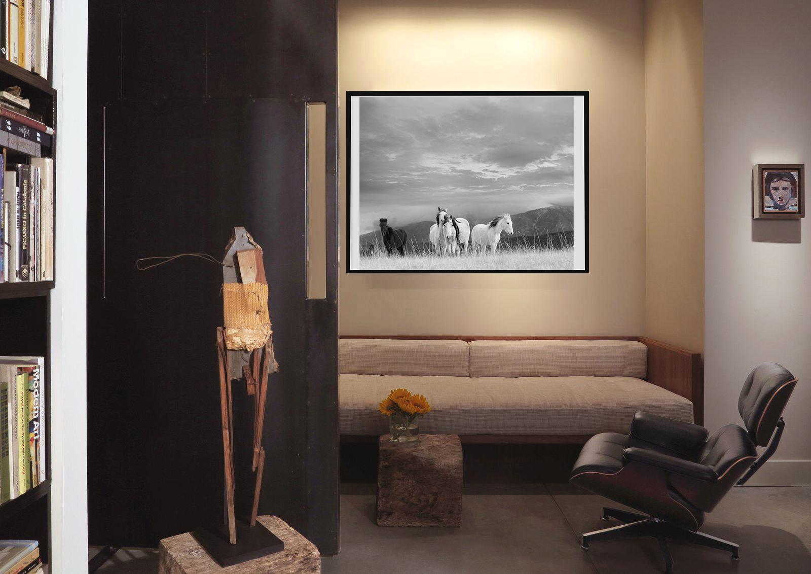 Il s'agit d'une photographie contemporaine en noir et blanc d'un American Wild Mustang. 
